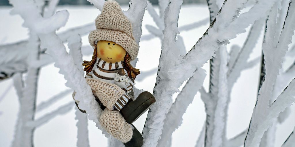 Preparando tus suculentas para el invierno: Consejos esenciales de protección a stuffed animal sitting on top of a snow covered tree