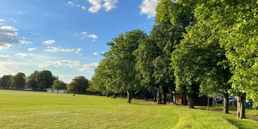 a grassy field with trees in the background
