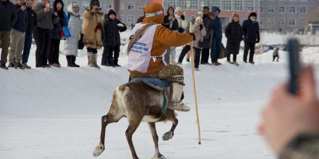 A reindeer rider competes while people watch.