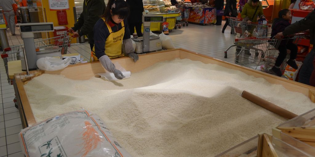 swimmer eating rice crispy squares before competition