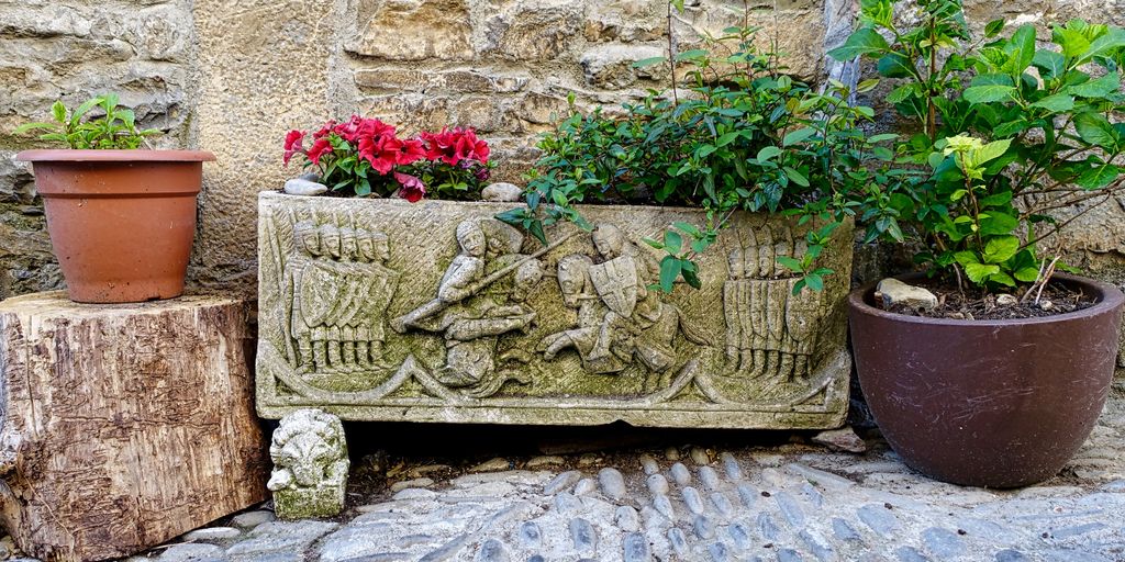 herb garden with pests and diseases