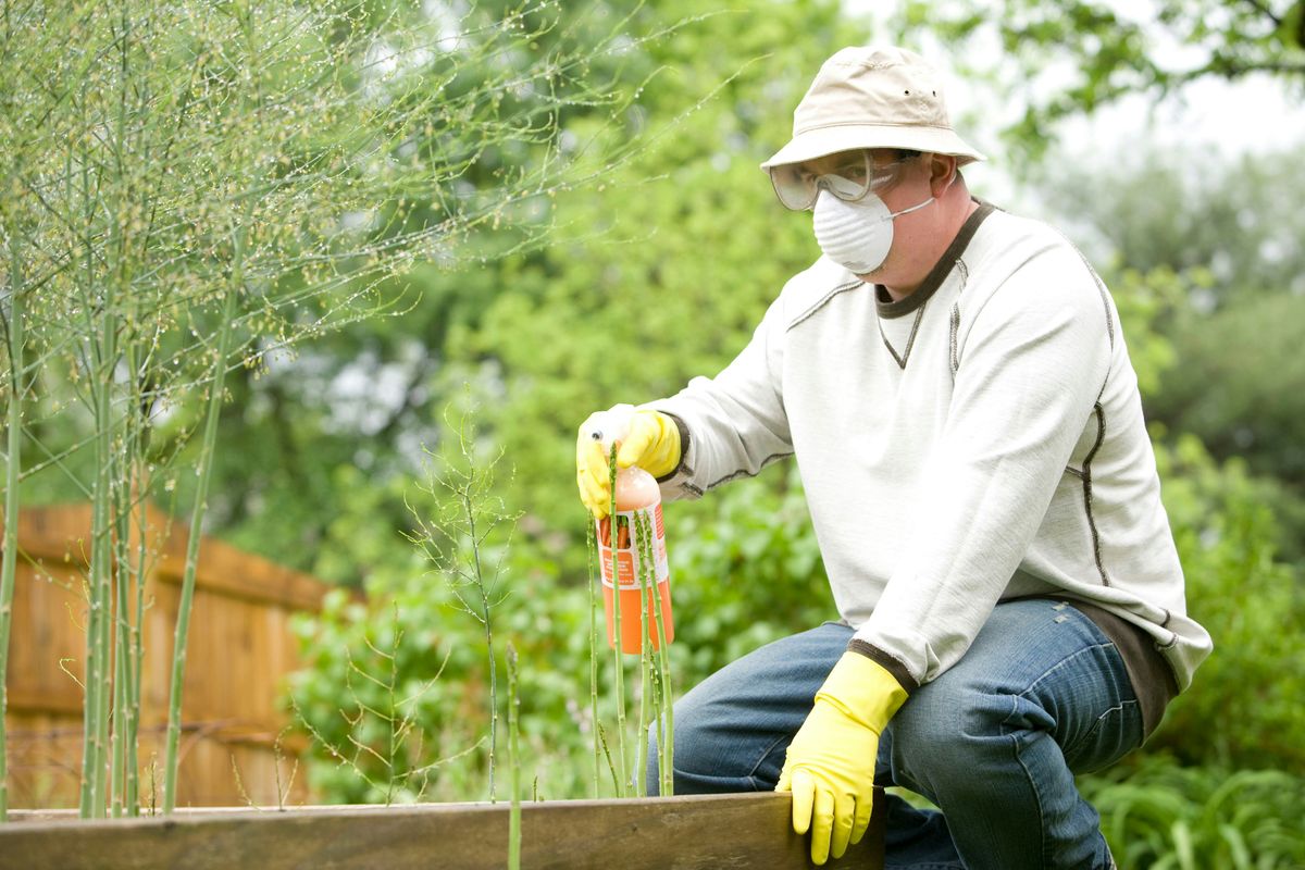JADAM's Global Mission: Organic Agriculture for All