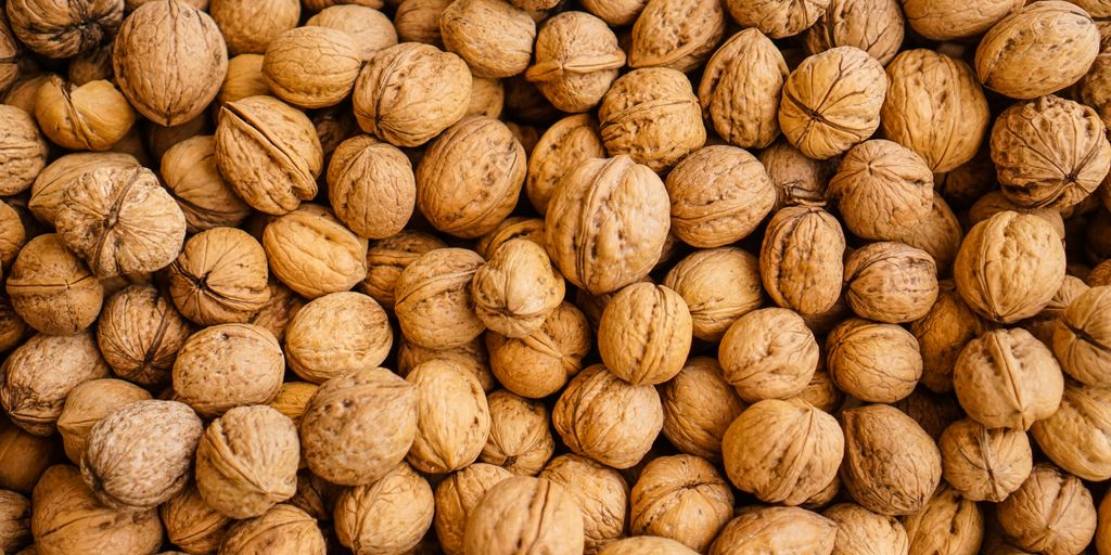 closeup photography of walnuts