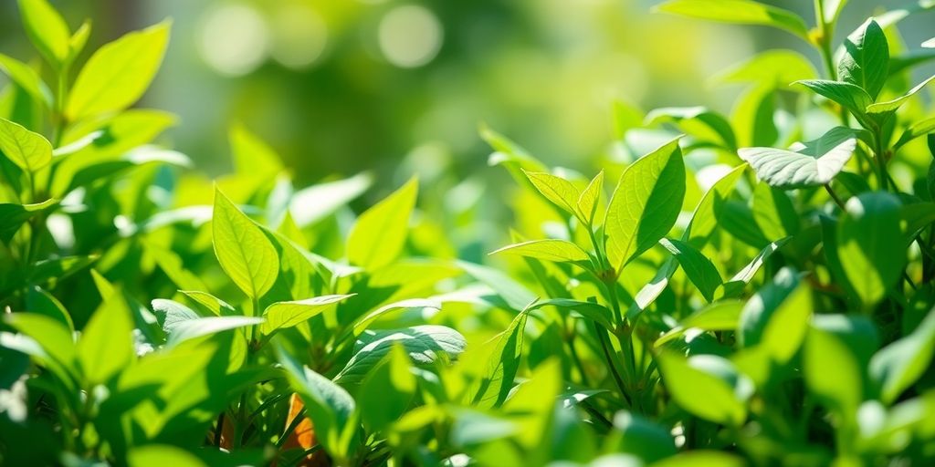 Green plants intertwined with technology, symbolizing sustainable innovation.