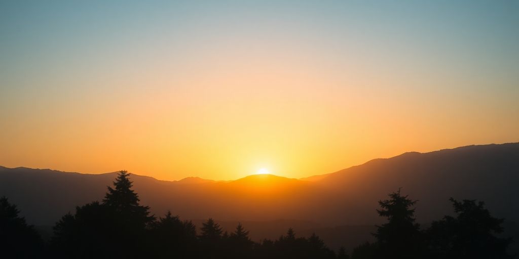 Silhouettes of trees at sunrise in a peaceful landscape.