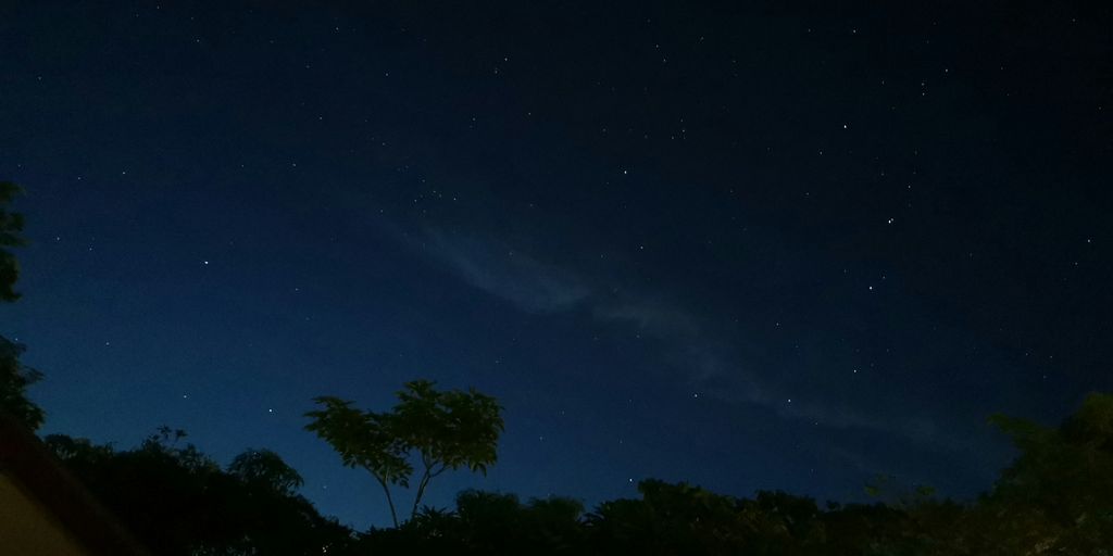 green trees under blue sky during night time