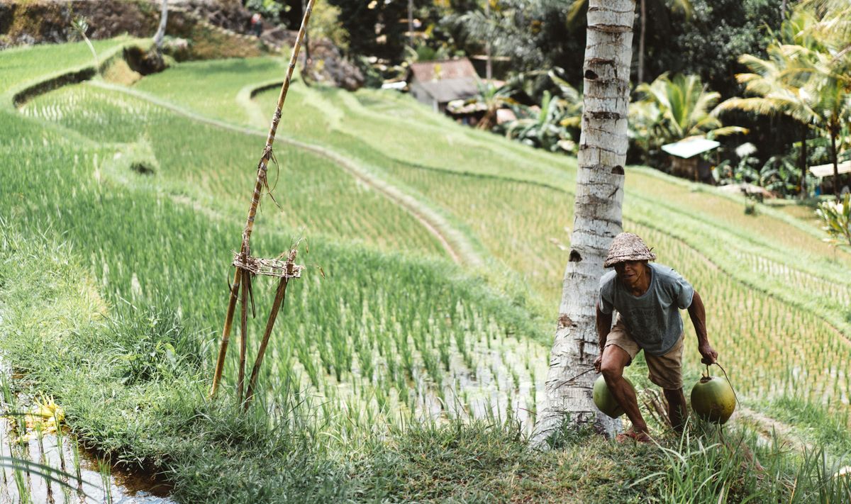 JADAM's Global Mission: Organic Farming for All