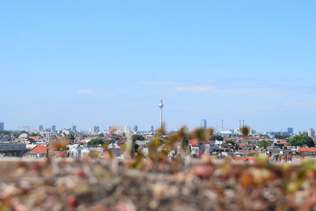 From Concrete Jungle to Garden Oasis: JADAM for City Slickers