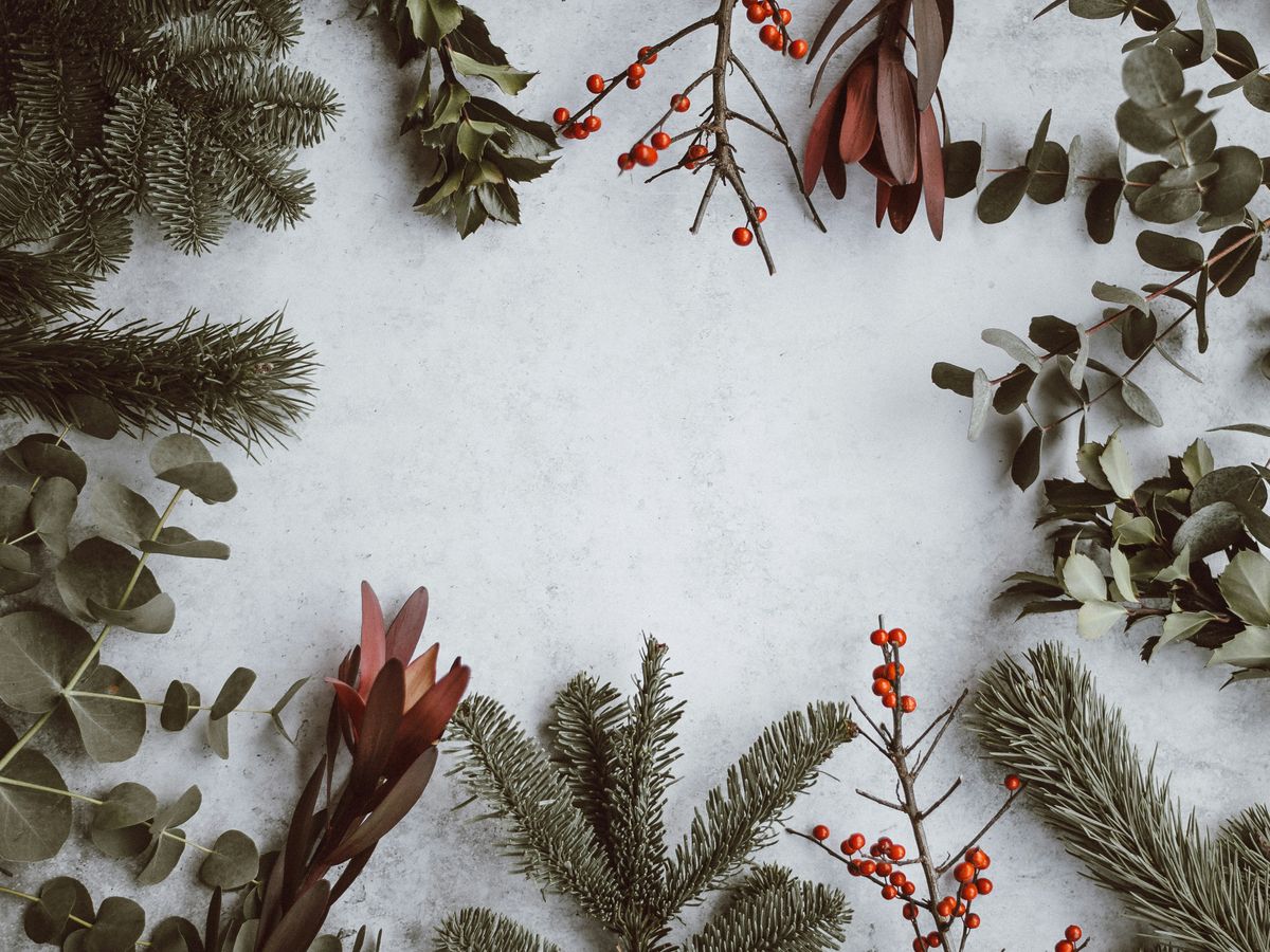 assorted-type of leaves lying on white panel