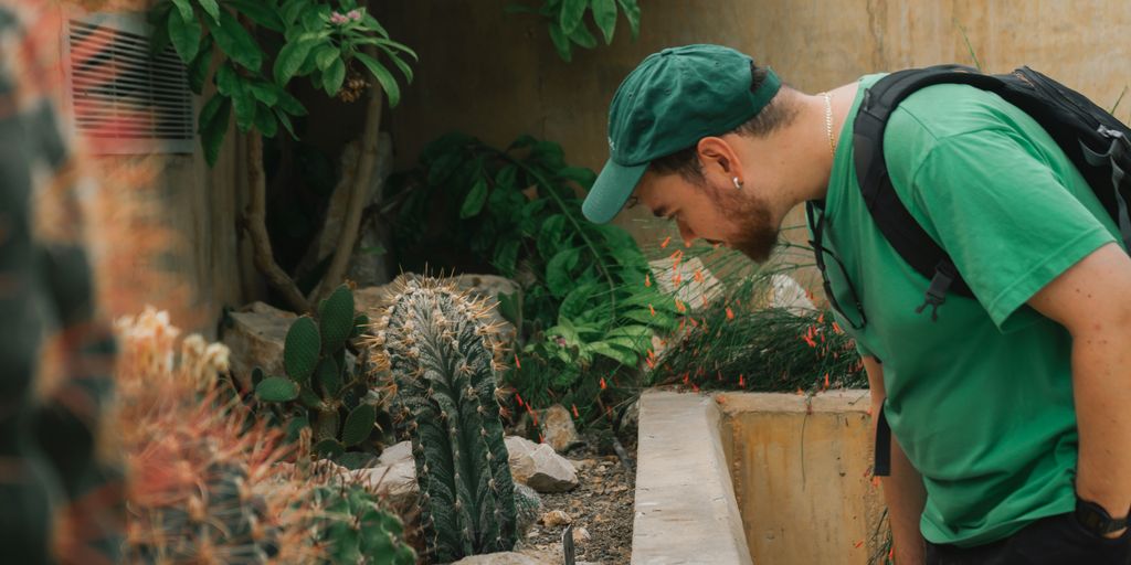a man in a green shirt and hat looking at a cactus