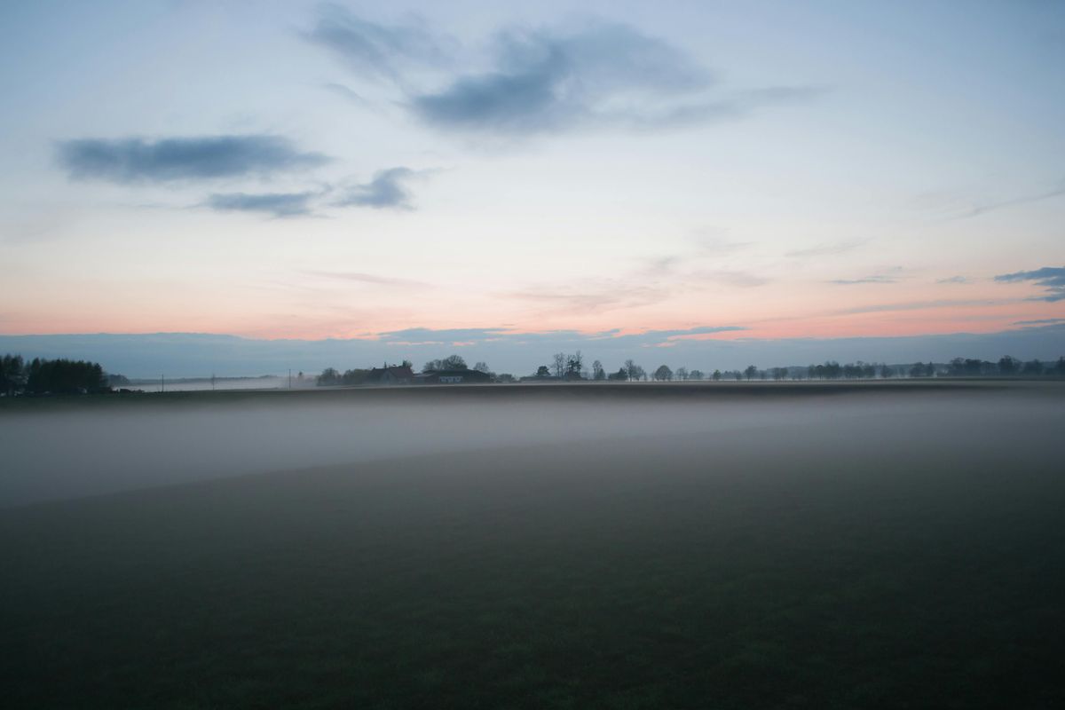 The Green Side of Amsterdam: Parks and Gardens
