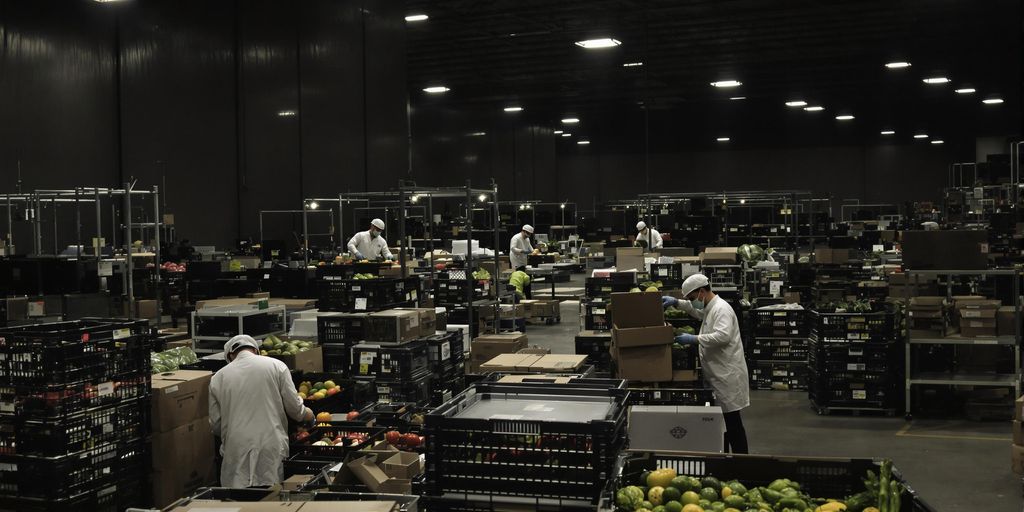Few inspectors checking produce in a nearly empty warehouse