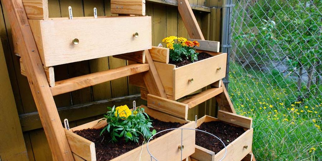 vertical garden with various plants