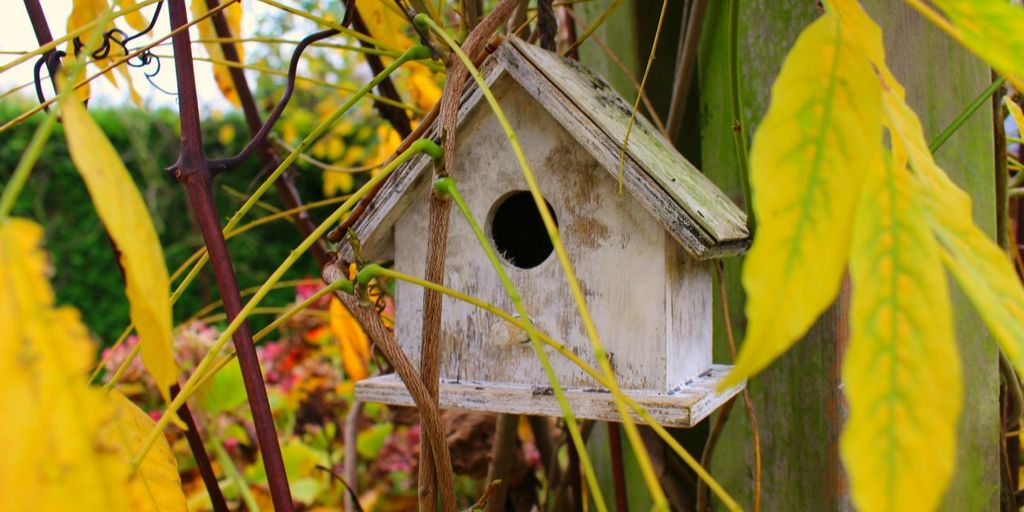 birdhouse in a garden with various plants and flowers