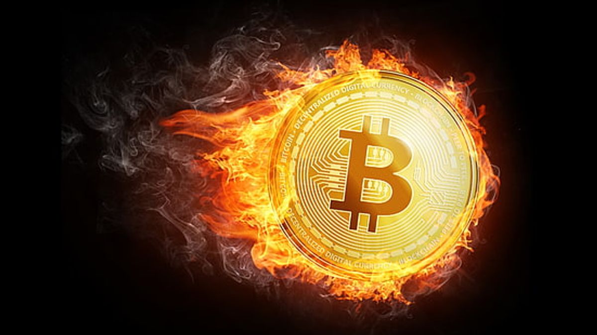 Navigating the ICO Investment Landscape