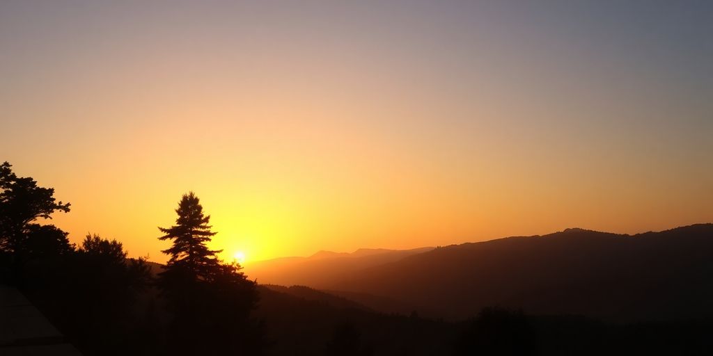 Silhouetted trees against a tranquil sunrise landscape.