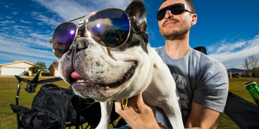 man in black sunglasses holding white short coated dog