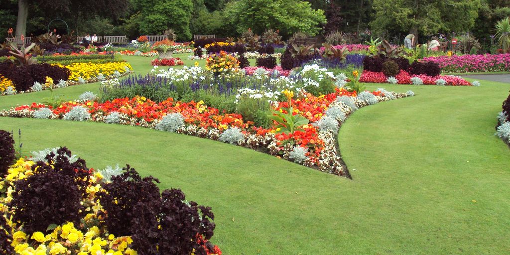 urban vertical garden with innovative planting solutions