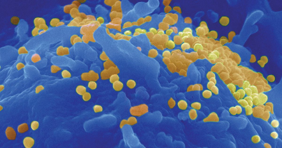 Comprendre la thérapie par perfusion de vitamines