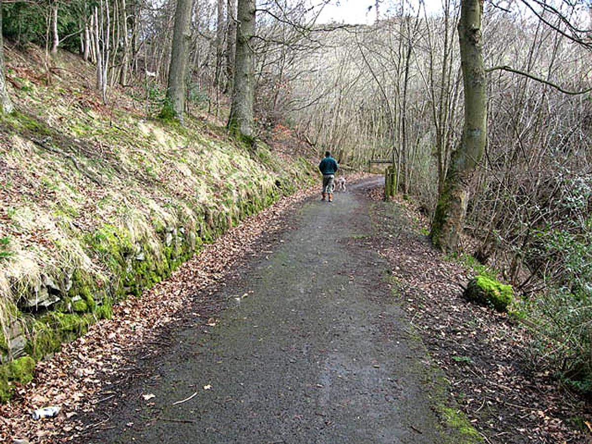 6. Olde Stone