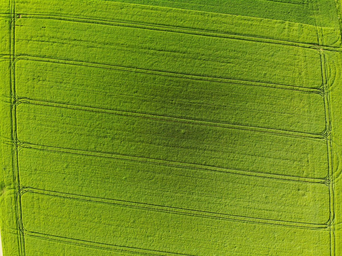 The Organic Vanguard: JADAM's Pioneering Practices