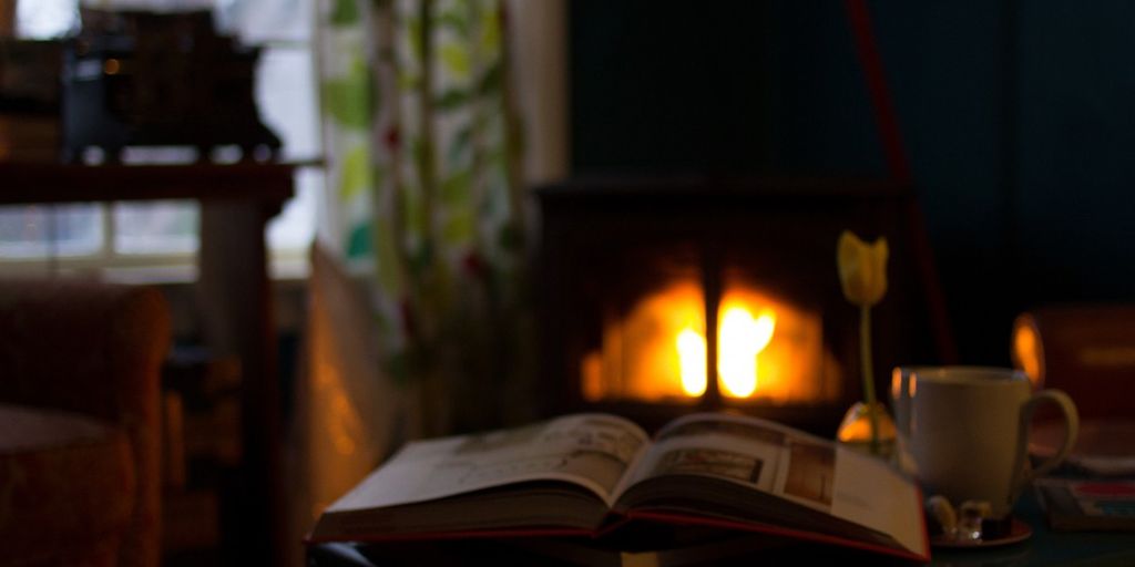 cat in a cozy cattery with people reading reviews