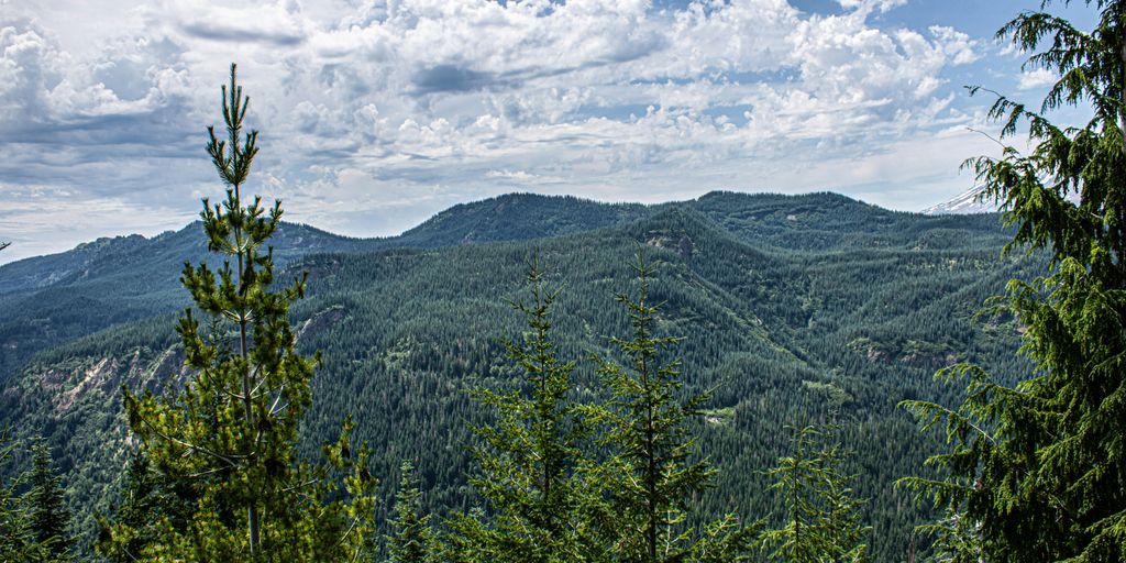 A view of a mountain range from the top of a hill