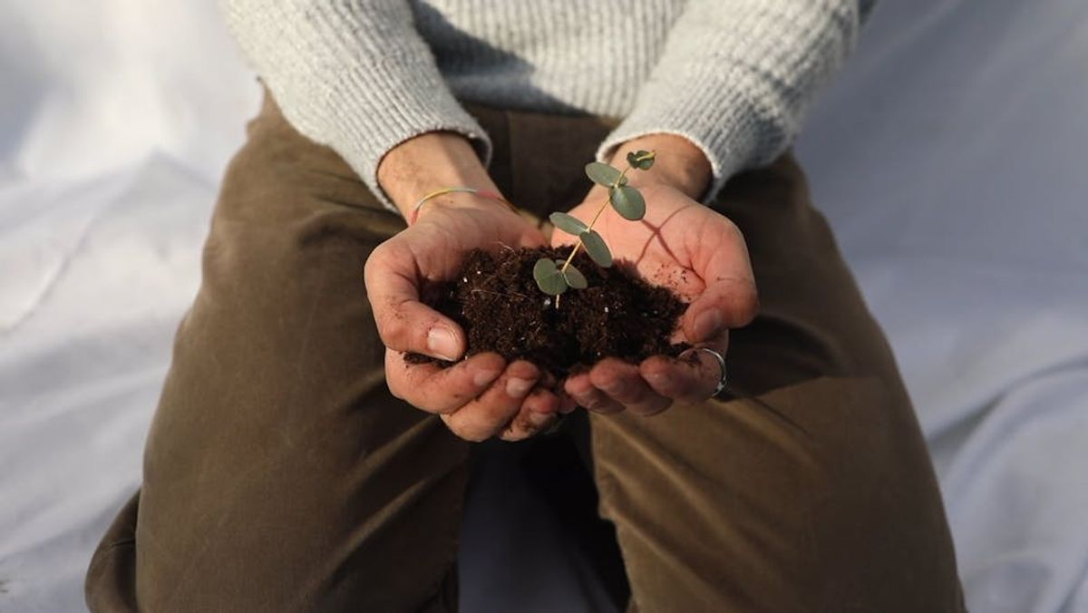 Eco-Conscious Celebrations: Earth Day and More
