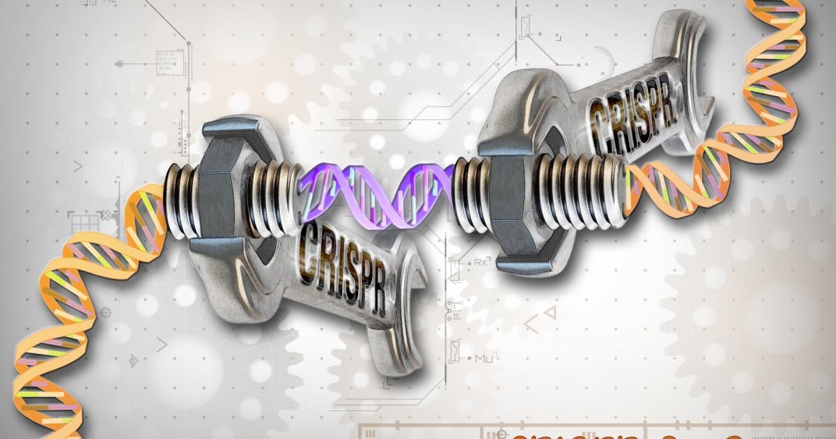 Design and Development: The Pillars of Quality Websites