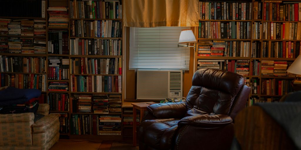 brown recliner sofa chair among books