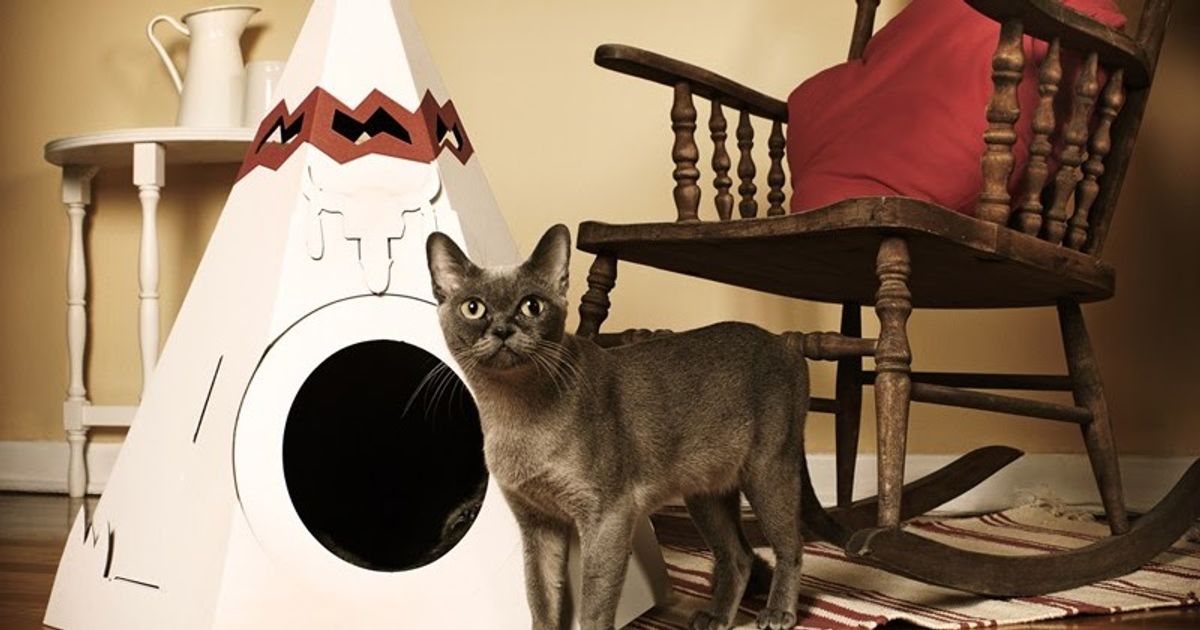 1. Tiger Dreamz Beddy Ball Bed