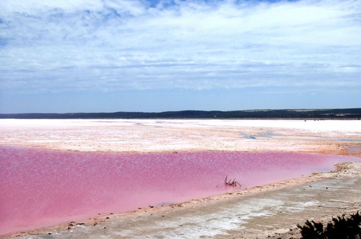 Travel Tips for Visiting the Pink Paradise