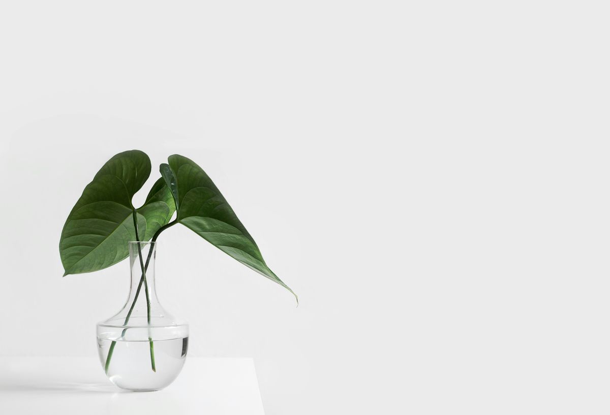 Die Bedeutung von Design und Ästhetik