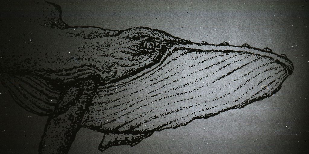 a drawing of a whale's tail in black and white