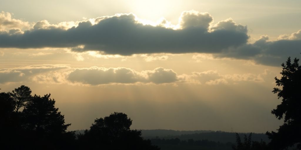 Silhouette of trees at sunrise in a peaceful landscape.