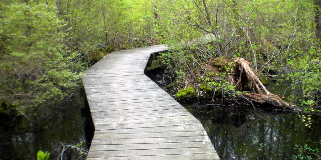 outdoor activities nature trails Birmingham