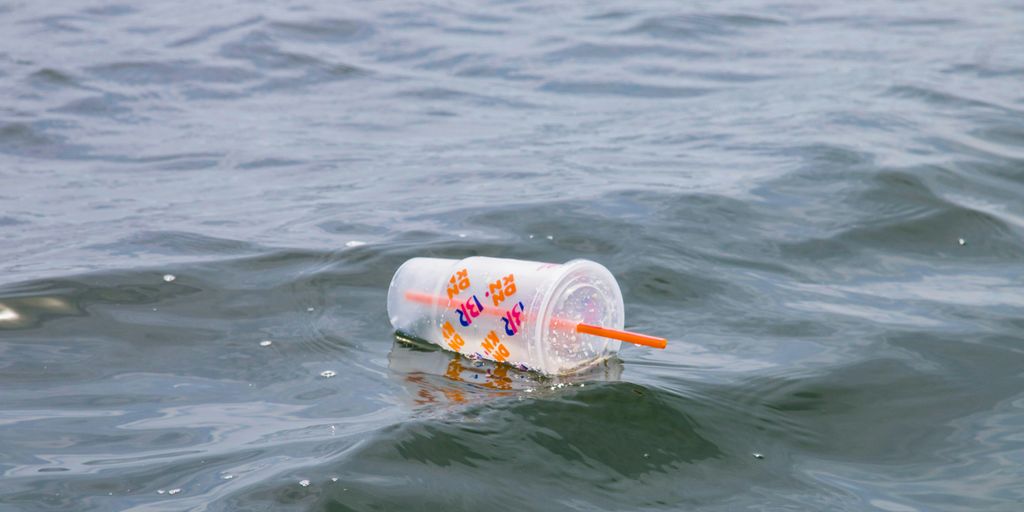 white and red plastic cup on water