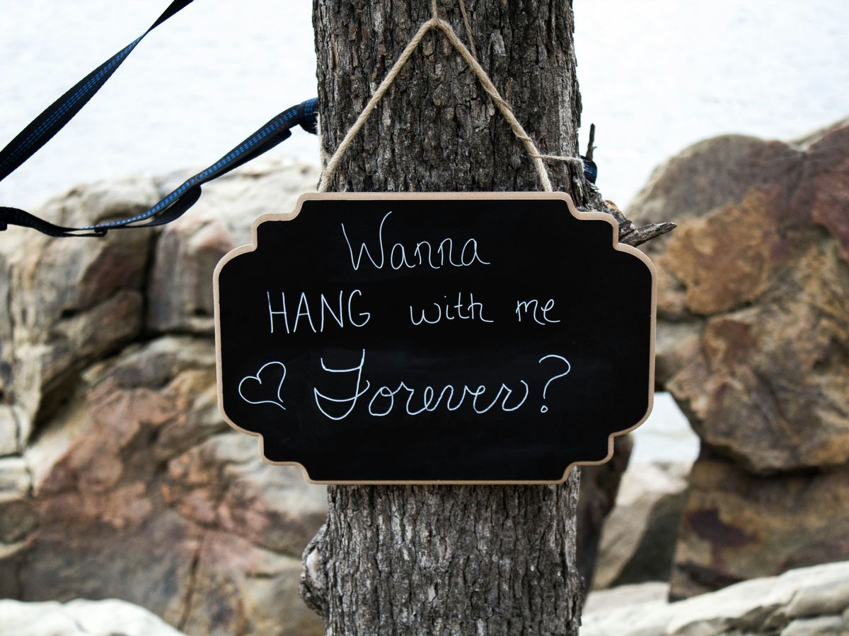 close view of wanna hang with me forever on tree