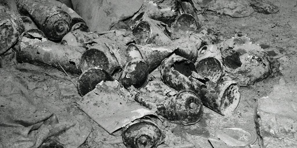black and white photograph of a bunch of shells