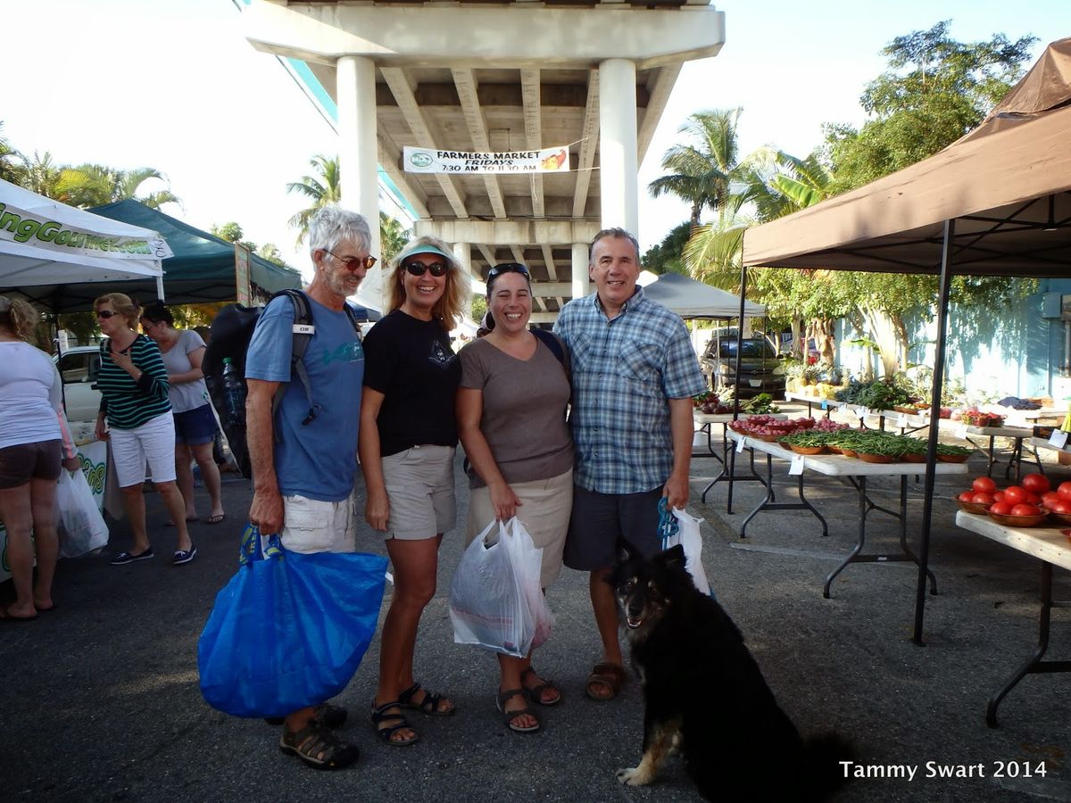 The Angler's Choice: Best Fishing Charters for Experienced Fishermen