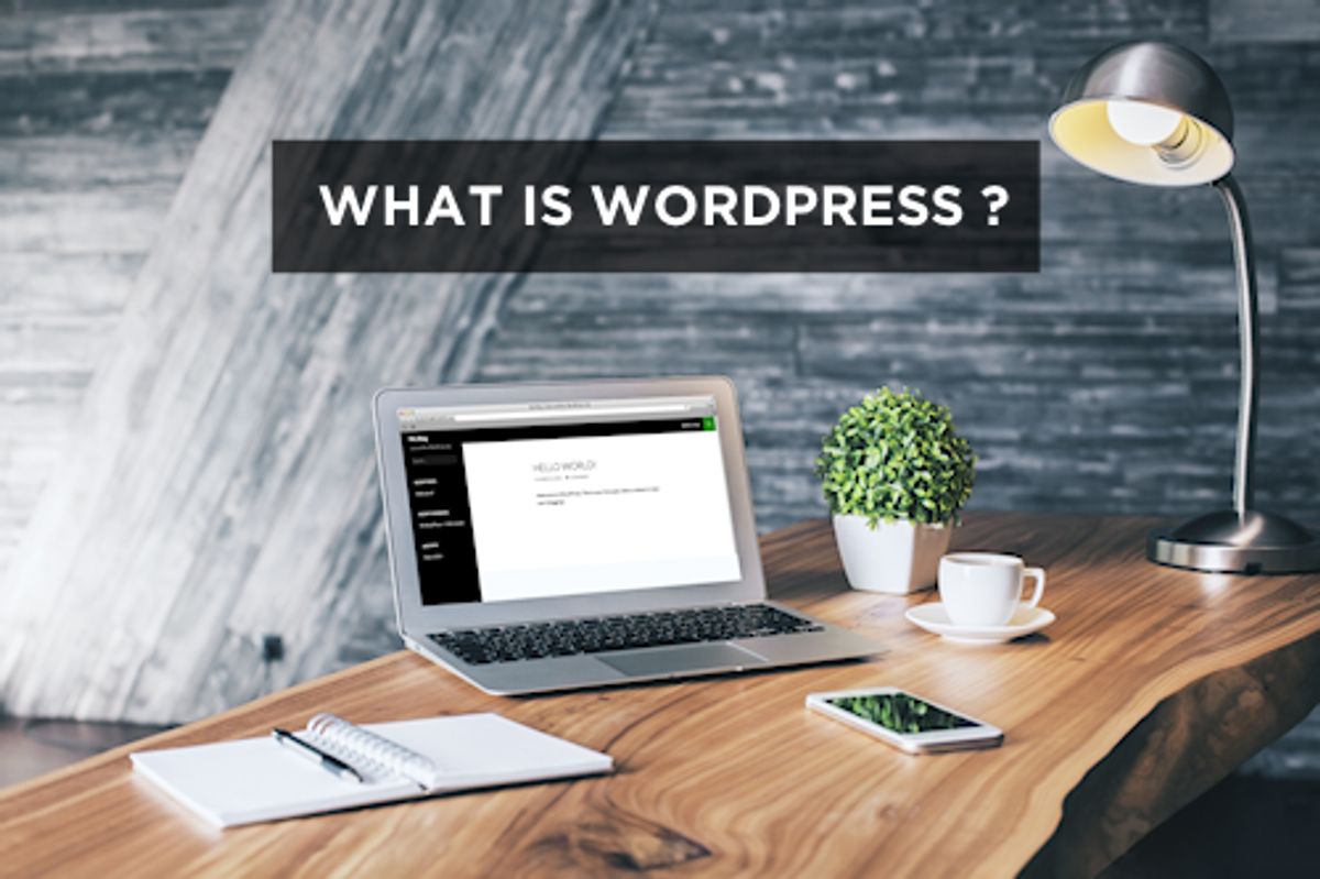 Comprehensive Support and Maintenance for WordPress
