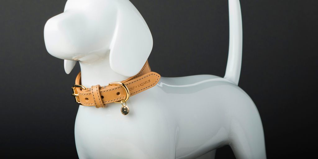 beige leather dog collar