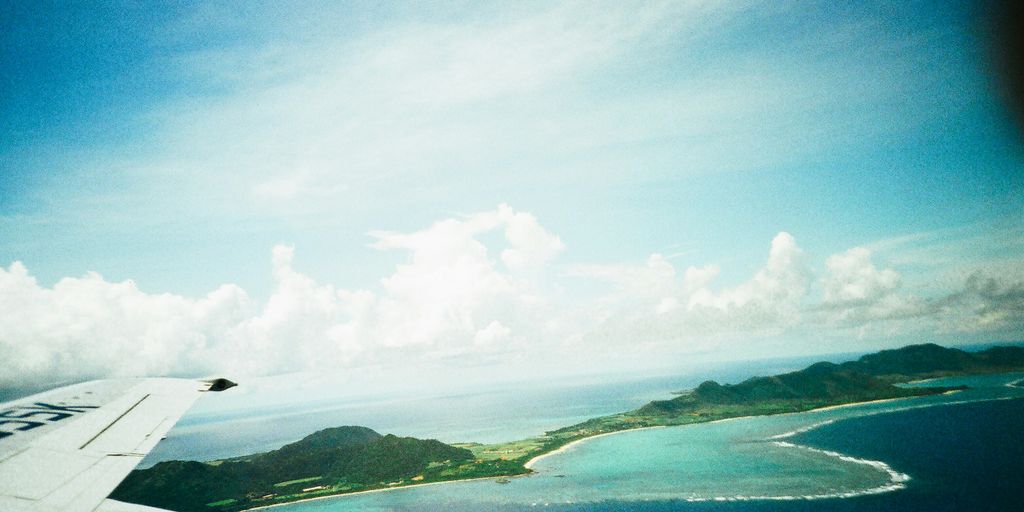bird flying over the sea during daytime