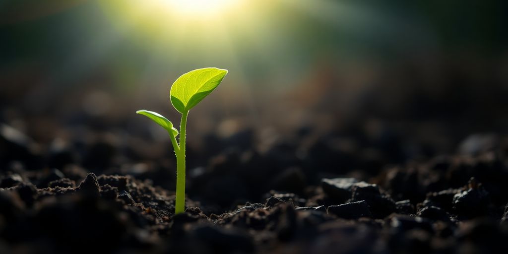 Web page growth with growing plants.