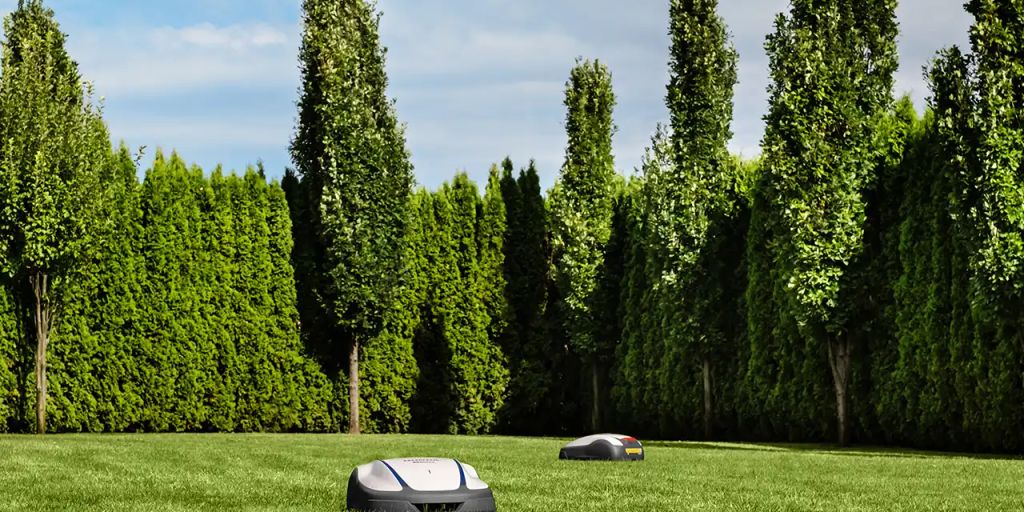 Two robotic lawn mowers in a grassy, tree-lined garden.