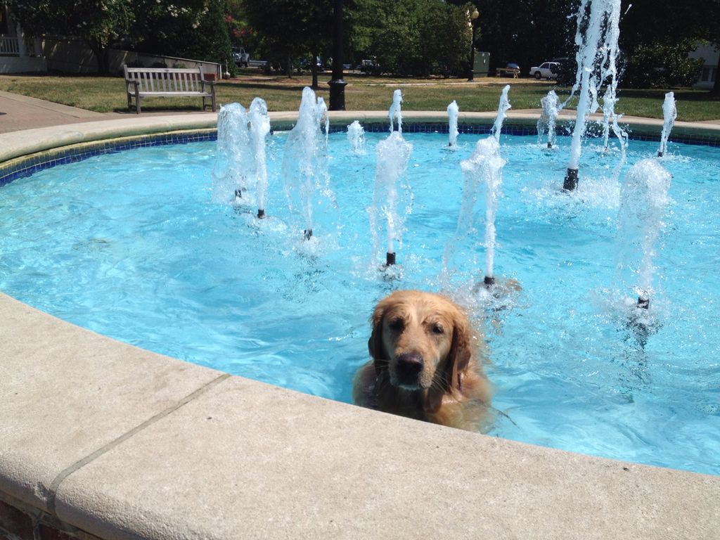 Can Pool Water Cause An Ear Infection? Pool Perfect Repairs