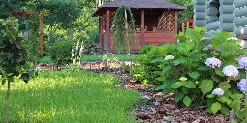 companion planting in a garden