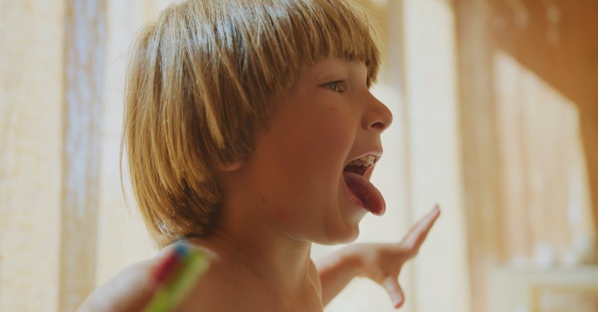 Das ABC der Labrador-Pflege: Fell, Krallen, Ohren & mehr