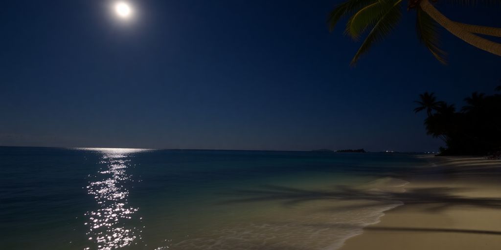 Nachthimmel über dem Akumal Bay Beach mit Sternen.