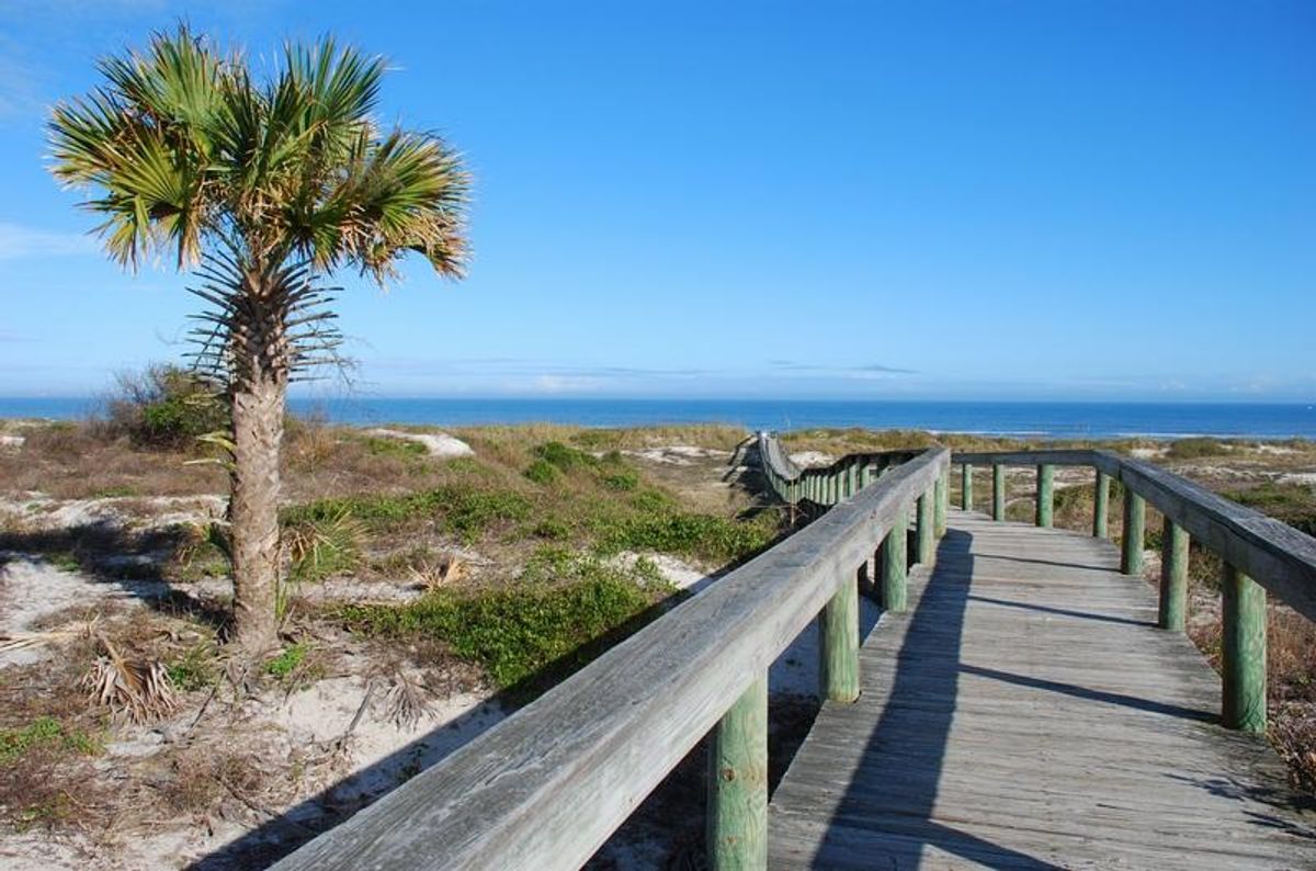 Savoring Jacksonville's Seafood: Fresh from the Ocean to Your Plate